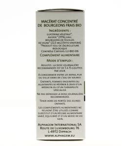 Vigne (Vitis vinifera) bourgeon unitaire BIO, 15 ml